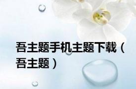 吾主题手机主题下载（吾主题）