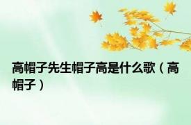 高帽子先生帽子高是什么歌（高帽子）