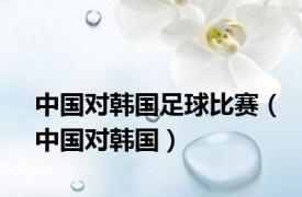 中国对韩国足球比赛（中国对韩国）