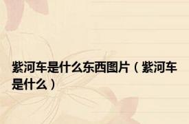 紫河车是什么东西图片（紫河车是什么）