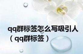 qq群标签怎么写吸引人（qq群标签）