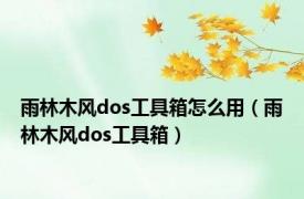 雨林木风dos工具箱怎么用（雨林木风dos工具箱）