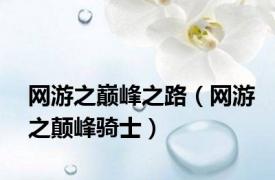 网游之巅峰之路（网游之颠峰骑士）
