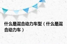 什么是混合动力车型（什么是混合动力车）