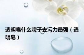 透明皂什么牌子去污力最强（透明皂）