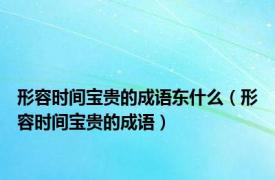 形容时间宝贵的成语东什么（形容时间宝贵的成语）