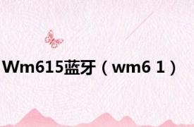 Wm615蓝牙（wm6 1）