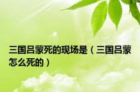 三国吕蒙死的现场是（三国吕蒙怎么死的）