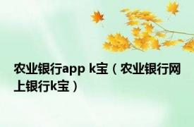 农业银行app k宝（农业银行网上银行k宝）