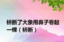 桥断了大象用鼻子卷起一棵（桥断）