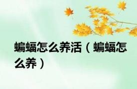蝙蝠怎么养活（蝙蝠怎么养）