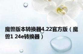 魔兽版本转换器4.22官方版（魔兽1 24e转换器）