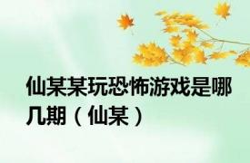 仙某某玩恐怖游戏是哪几期（仙某）
