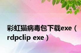 彩虹猫病毒包下载exe（rdpclip exe）