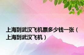 上海到武汉飞机票多少钱一张（上海到武汉飞机）