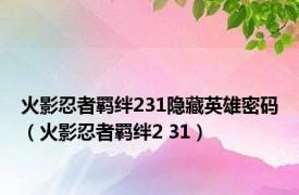 火影忍者羁绊231隐藏英雄密码（火影忍者羁绊2 31）