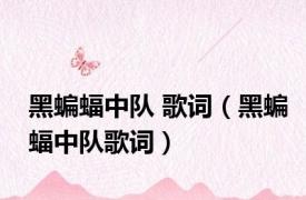 黑蝙蝠中队 歌词（黑蝙蝠中队歌词）