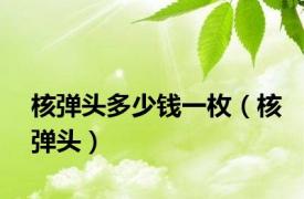 核弹头多少钱一枚（核弹头）