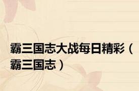霸三国志大战每日精彩（霸三国志）
