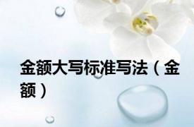 金额大写标准写法（金额）