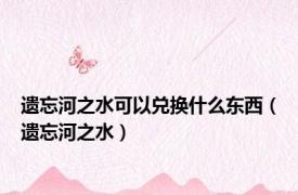 遗忘河之水可以兑换什么东西（遗忘河之水）