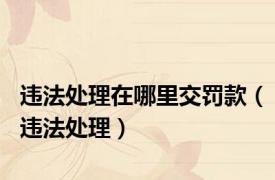 违法处理在哪里交罚款（违法处理）