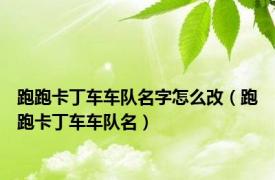 跑跑卡丁车车队名字怎么改（跑跑卡丁车车队名）