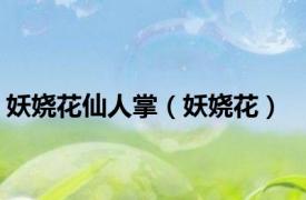 妖娆花仙人掌（妖娆花）