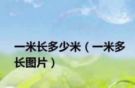 一米长多少米（一米多长图片）