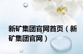 新矿集团官网首页（新矿集团官网）