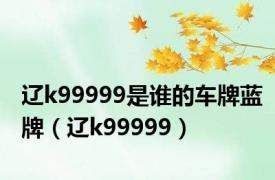 辽k99999是谁的车牌蓝牌（辽k99999）