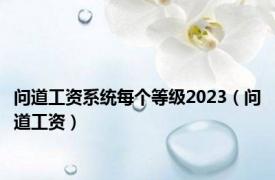 问道工资系统每个等级2023（问道工资）