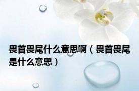 畏首畏尾什么意思啊（畏首畏尾是什么意思）