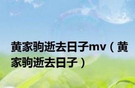 黄家驹逝去日子mv（黄家驹逝去日子）