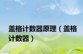 盖格计数器原理（盖格计数器）