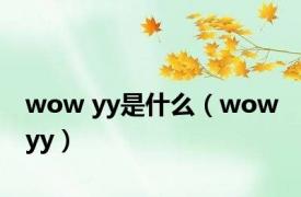 wow yy是什么（wow yy）