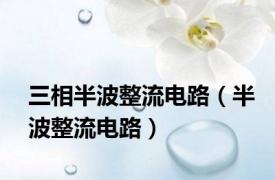 三相半波整流电路（半波整流电路）