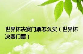 世界杯决赛门票怎么买（世界杯决赛门票）