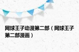 网球王子动漫第二部（网球王子第二部漫画）