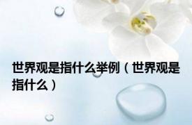世界观是指什么举例（世界观是指什么）