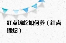 红点锦蛇如何养（红点锦蛇）