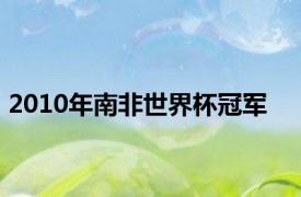 2010年南非世界杯冠军
