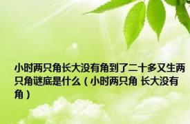 小时两只角长大没有角到了二十多又生两只角谜底是什么（小时两只角 长大没有角）