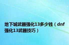 地下城武器强化13多少钱（dnf强化13武器技巧）