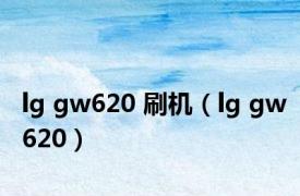 lg gw620 刷机（lg gw620）