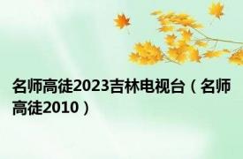 名师高徒2023吉林电视台（名师高徒2010）