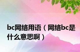 bc网络用语（网络bc是什么意思啊）