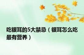 吃银耳的5大禁忌（银耳怎么吃最有营养）