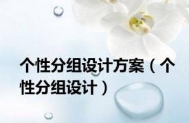 个性分组设计方案（个性分组设计）