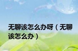 无聊该怎么办呀（无聊该怎么办）